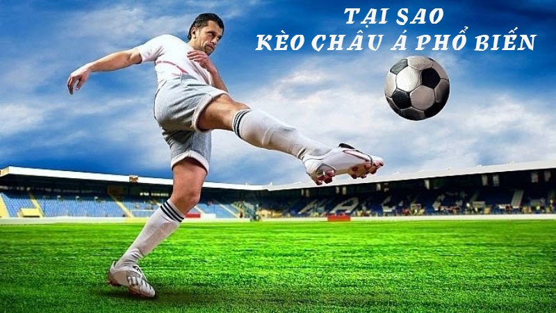 Kèo Châu Á Là Gì? Cách Chơi Kèo Châu Á Hiệu Quả 2 Tại sao kèo châu Á phổ biến